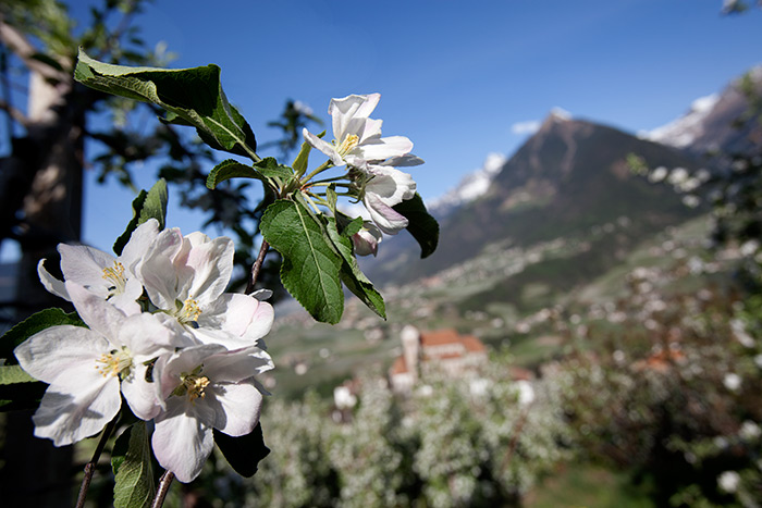 Urlaub in Schenna bei Meran